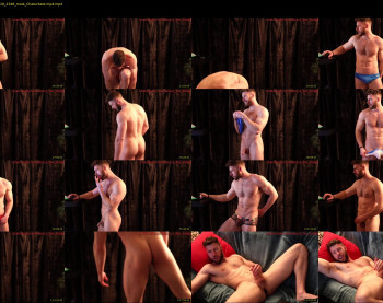 about_the_bulge