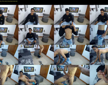 alessandrostick