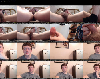 alex_apollo