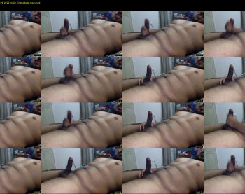 bangalore_cock_