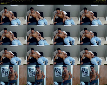 enzoferlucy
