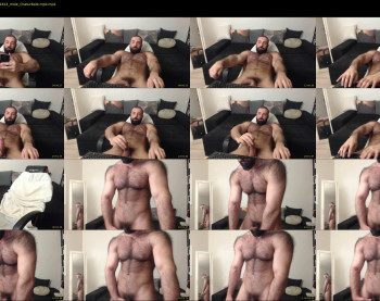 muscle0max