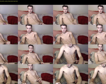 sexual_vibrations