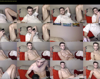 sexual_vibrations