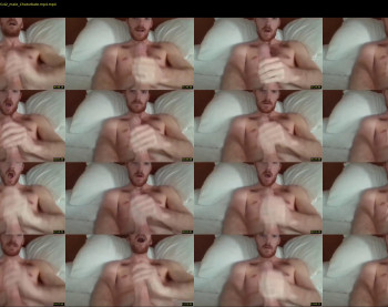 stalehamm3