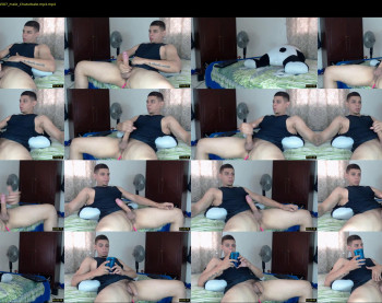 stephalverto
