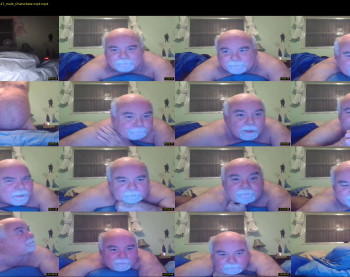 steverbear