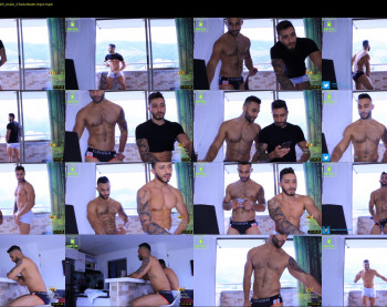 thiago_fox