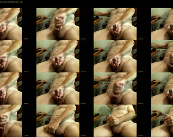 bare_bear