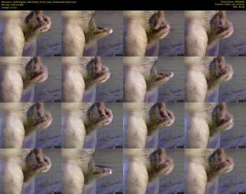 kysifrotsypic