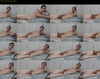 polypimmaculate