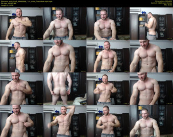 alvin_hunk