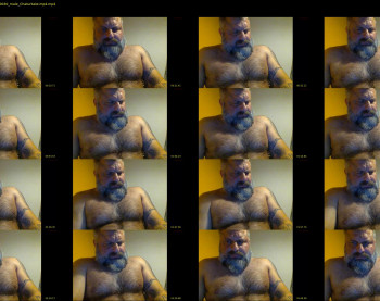 steruess