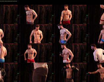 about_the_bulge