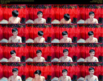 asianbabymaxxx