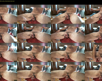 morph4222