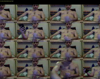 dalfox_94