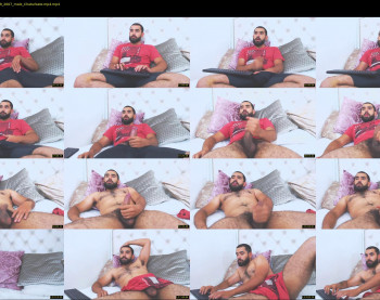 hornybull4ever