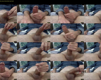 puslicker4
