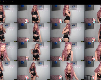 shybbdi