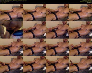 shyjock