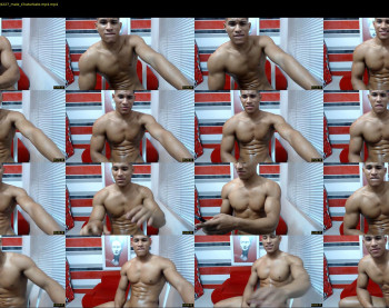 teddyfit19cm