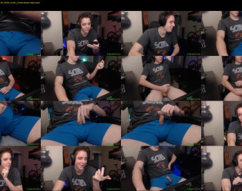 a_beautiful_cock