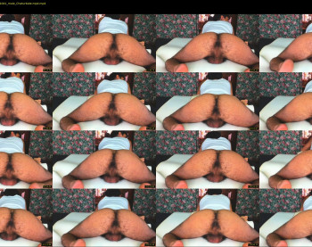 bachabazi22