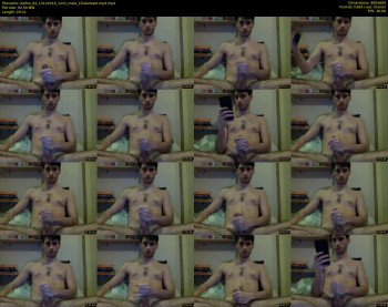 dalfox_94