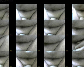 favrite011
