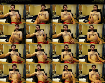 bigbrit_17