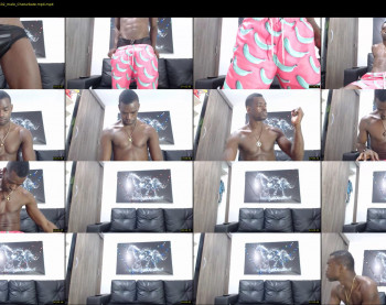 tyrom_flow