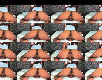 bachabazi22