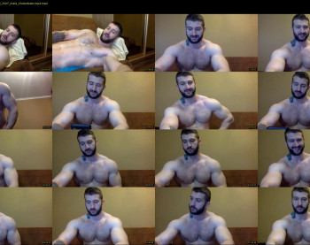 panda_muscle
