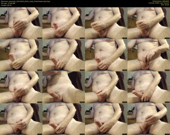 paulus4u