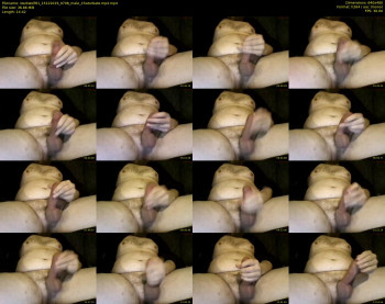 starkwolf81