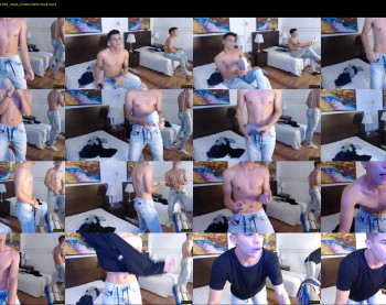 thomaswildd