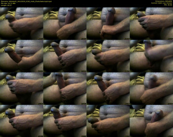 bibloke45
