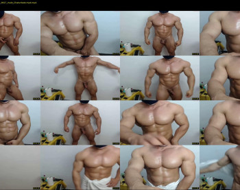 promuscles4u