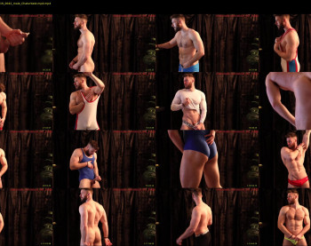 about_the_bulge