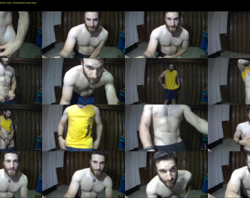 osito_blanco