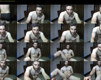 osito_blanco