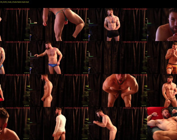 about_the_bulge