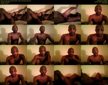 bbc256