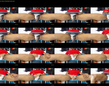 dylan_coll