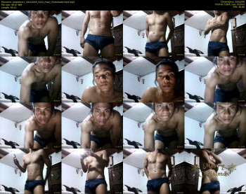 joselatino1