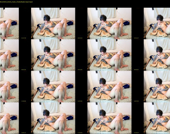 matty_the_new_hive