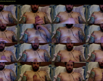 whitewhale27