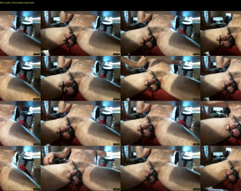 morph4222