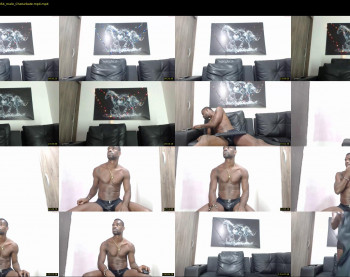 tyrom_flow